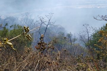 En Chiapas, registra Cecif cuatro incendios forestales en lo que va de 2021