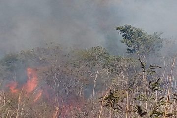 Reportan incendio en Cañón del Sumidero; se queman 10 hectáreas