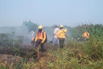 Incendios han quemado más de 200 hectáreas en La Sepultura