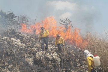 Registra Chiapas más de seis mil hectáreas quemadas