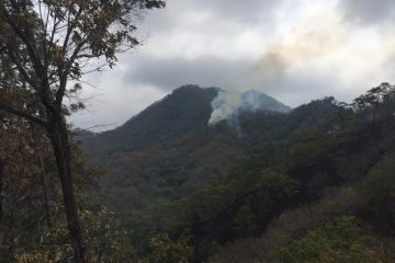 Llegó Chiapas a casi 20 mil hectáreas quemadas