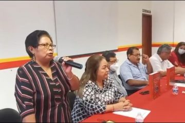 Nos ven como «bichos raros» a las diputadas indígenas: Jiménez Pérez
