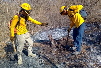 Incendio forestal consume 3 hectáreas en el  Cañón del Sumidero