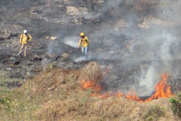 Más de 34 mil hectáreas afectadas por incendios en Chiapas: Conafor