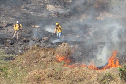 Más de 34 mil hectáreas afectadas por incendios en Chiapas: Conafor