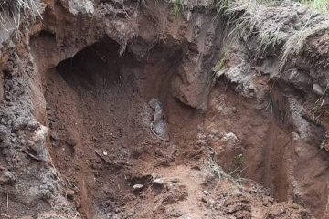 Encuentran restos óseos en predio de Tapachula