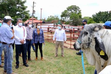 En Ocozocoautla, Rutilio Escandón inauguró XXV Concurso Estatal de la Vaca Lechera