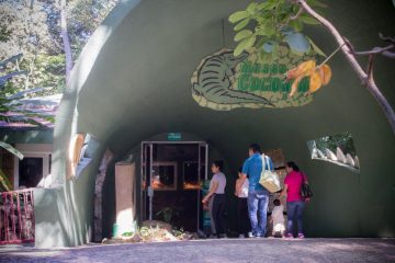 Más de 44 mil visitantes en el ZooMAT en vacaciones