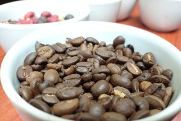 Chiapas, primer lugar en producción de café, ¿cuántos sacos serán en 2022?