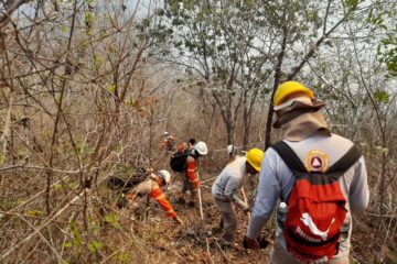 Reportan varios incendios en Chiapas