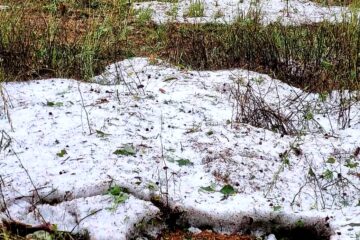 Sorprende granizada en Chiapas